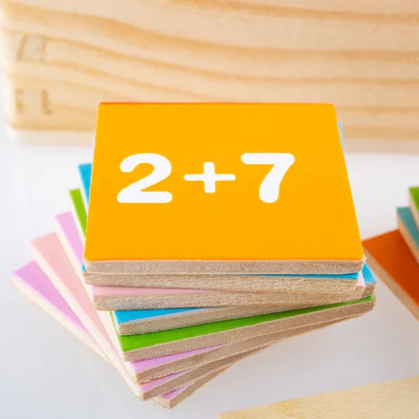 Bigjigs Toys Add and Subtract Box