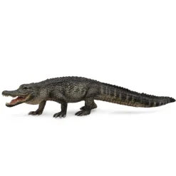 CollectA American Alligator