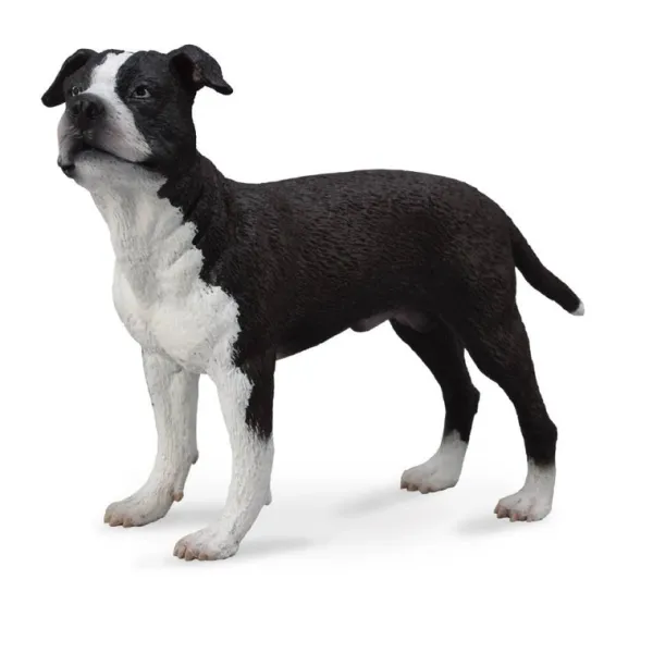 CollectA American Staffordshire Terrier