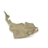 CollectA Angel Shark