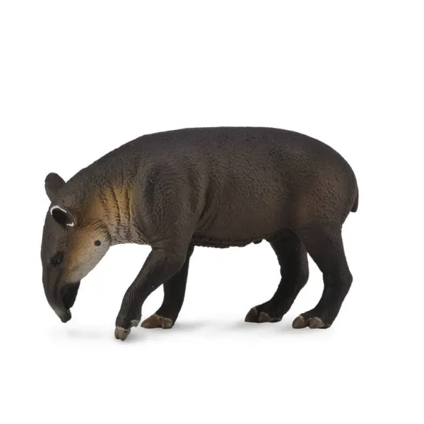 CollectA Baird'S Tapir