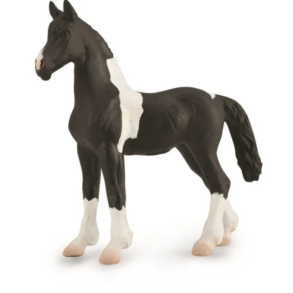 CollectA Barock Pinto Foal