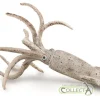 CollectA Belemnite