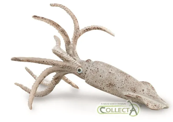 CollectA Belemnite