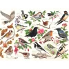 House of Puzzles Birds In My Garden - 1000 Piece Jigsaw Puzzle