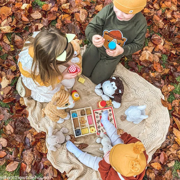 Bigjigs Toys Biscuit Box