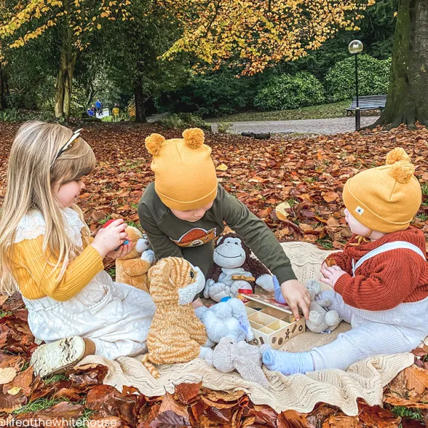 Bigjigs Toys Biscuit Box