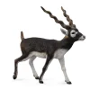 CollectA Blackbuck