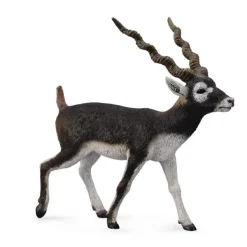CollectA Blackbuck
