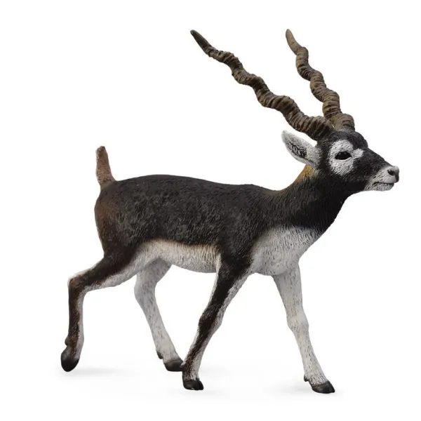 CollectA Blackbuck