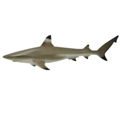 CollectA Blacktip Reef Shark