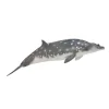 CollectA Blainville'S Beaked Whale
