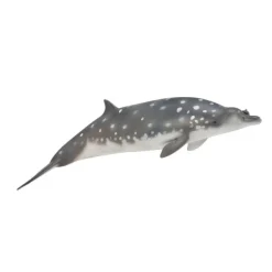 CollectA Blainville'S Beaked Whale