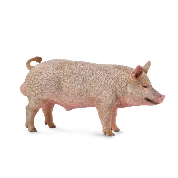 CollectA Boar