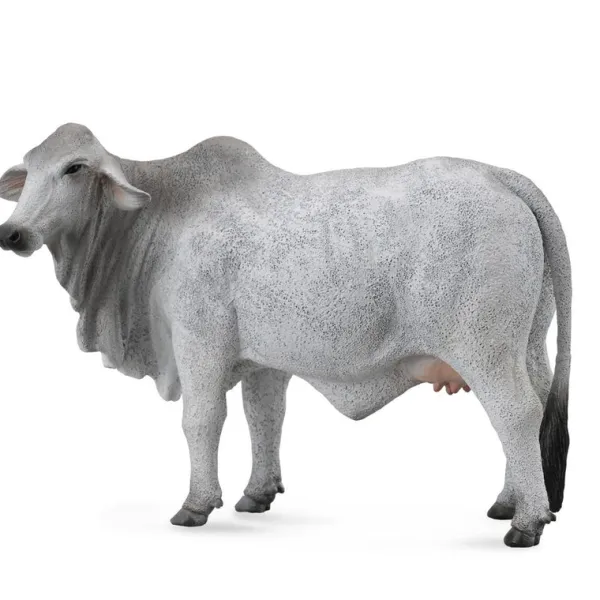 CollectA Brahman Cow