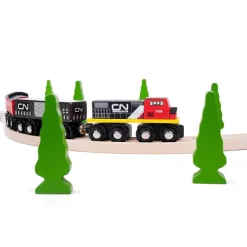 Bigjigs Rail CN Train