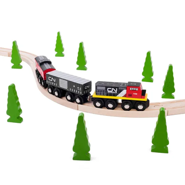 Bigjigs Rail CN Train