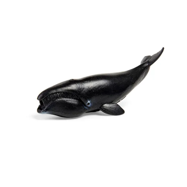 CollectA Box of Mini Sea Animals 2