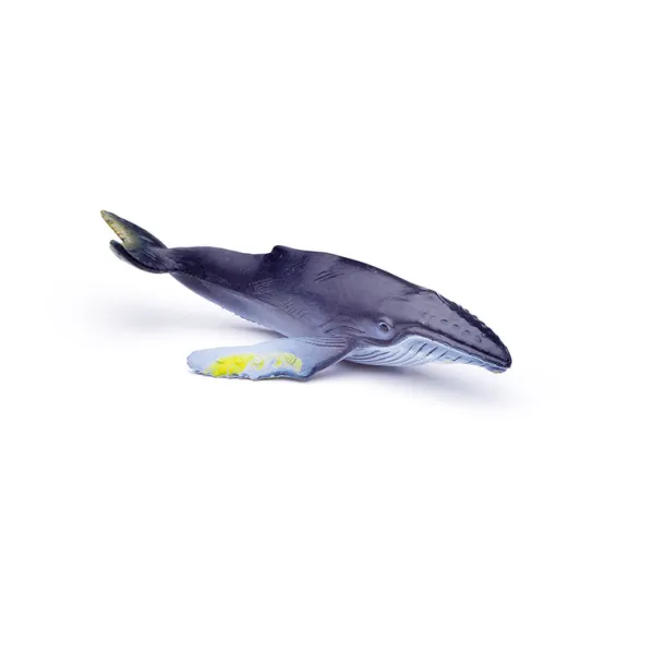 CollectA Box of Mini Sea Animals