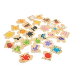 Bigjigs Toys Colour Splash Match