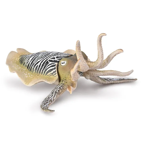 CollectA Common Cuttlefish