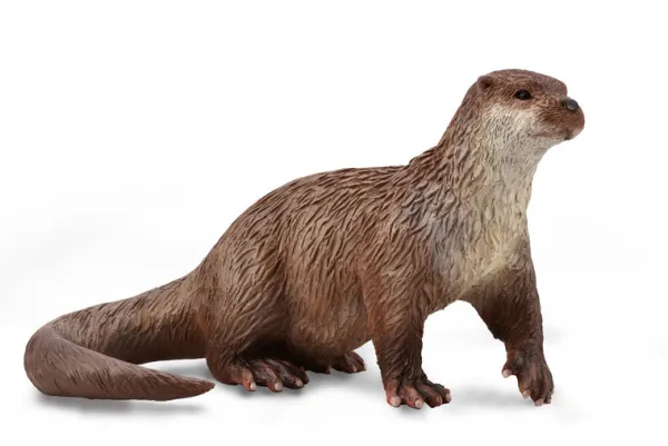 CollectA Common Otter