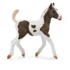 CollectA Curly Foal