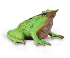 CollectA Darwin's Frog
