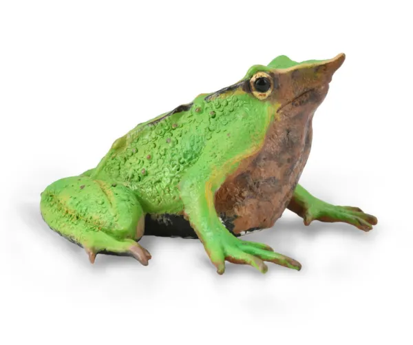 CollectA Darwin's Frog