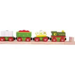 Bigjigs Rail Dinosaur Railway Engine and Carriages