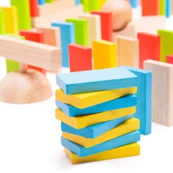 Bigjigs Toys Domino Run