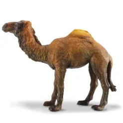 CollectA Dromedary Camel