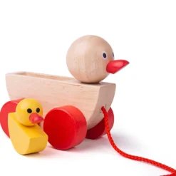 Bigjigs Toys Duck and Duckling