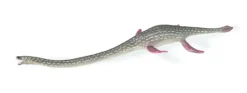 CollectA Elasmosaurus