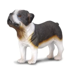 CollectA English Bulldog