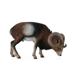 CollectA European Mouflon
