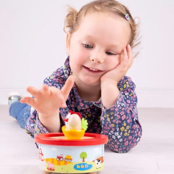 Bigjigs Toys Farm Music Box