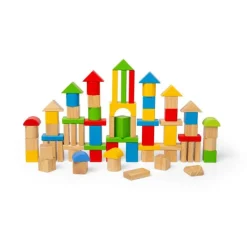 Bigjigs Toys First Building Bricks