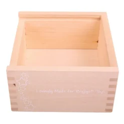 Bigjigs Baby First Posting Box