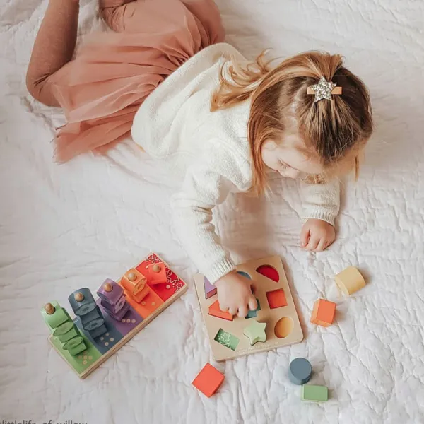 Bigjigs Baby First Shapes Sorter