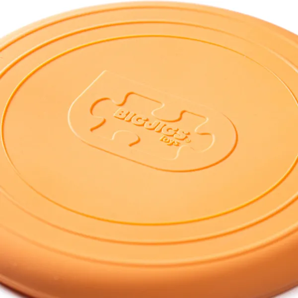 Bigjigs Toys Flexible Flyer (12 colours available)