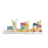 Bigjigs Toys FSC® Certified Activity Pull Along Train