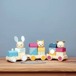 Bigjigs Toys FSC® Certified Activity Pull Along Train
