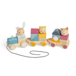 Bigjigs Toys FSC® Certified Activity Pull Along Train