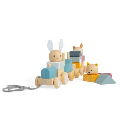 Bigjigs Toys FSC® Certified Activity Pull Along Train