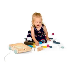 Bigjigs Toys FSC® Certified Brick Cart