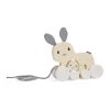 Bigjigs Toys FSC® Certified Pull Along Bunny & Baby