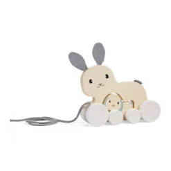 Bigjigs Toys FSC® Certified Pull Along Bunny & Baby