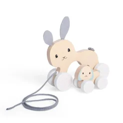 Bigjigs Toys FSC® Certified Pull Along Bunny & Baby