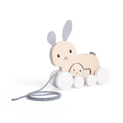 Bigjigs Toys FSC® Certified Pull Along Bunny & Baby
